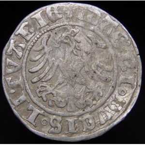 Sigismund I. der Alte, Halbpfennig 1509, Vilnius - Ave ohne Scheide