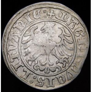 Sigismund I. der Alte, Halbpfennig 1509, Wilna - Herold ohne Scheide - Doppelpunkte