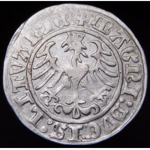 Sigismund I. der Alte, Halbpfennig 1509, Wilna - Herold ohne Scheide - Ring
