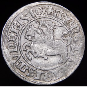 Sigismund I. der Alte, Halbpfennig 1510, Wilna - große Null, Doppelpunkt nach der Jahreszahl