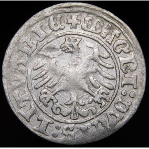 Sigismund I. der Alte, Halbpfennig 1510, Wilna - große Null, Doppelpunkt nach der Jahreszahl