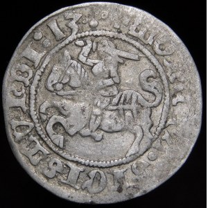 Sigismund I. der Alte, halber Pfennig 1513, Vilnius - vier Punkte - sehr selten