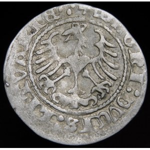 Sigismund I the Old, Half-penny 1513, Vilnius - four dots - very rare