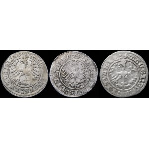 Sigismund I the Old, Half-penny 1514, Vilnius - variants - set (pcs. 3)