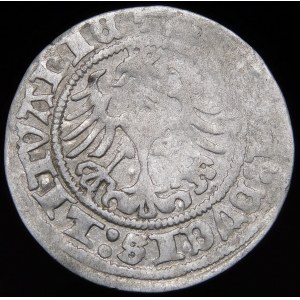 Sigismund I. der Alte, Halbpfennig 1518, Wilna - Fehler, MONTEA - Doppelpunkt - selten