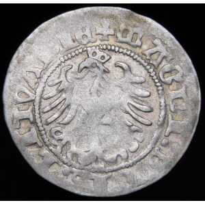 Sigismund I the Old, Half-penny 1518, Vilnius - colon