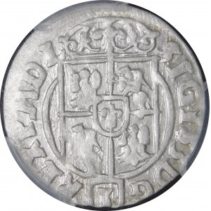 Sigismund III Vasa, Half-track 1624, Bydgoszcz - Saxon in oval shield - crosses