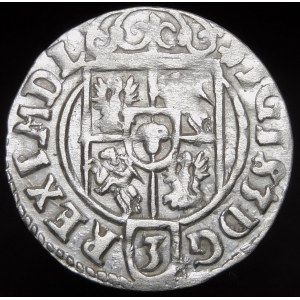 Sigismund III Vasa, Half-track 1623, Bydgoszcz - Saxon in decorative shield - variant