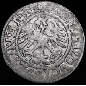 Sigismund I the Old, Half-penny 1521, Vilnius - SIGISMVANDI error - very rare