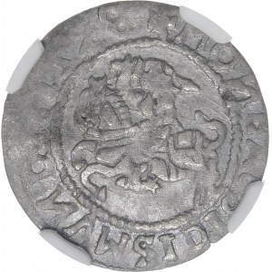 Sigismund I. der Alte, Halbpfennig 1528, Wilna - ohne V - MOИEA-Fehler - sehr selten