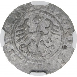 Sigismund I the Old, Half-penny 1528, Vilnius - Without V - MOИEA error - very rare