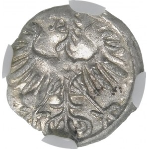 Sigismund II Augustus, Denarius 1554, Vilnius - rare and beautiful