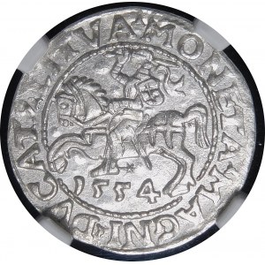 Sigismund II Augustus, halber Pfennig 1554, Vilnius - LI/LITVA - schön und sehr selten