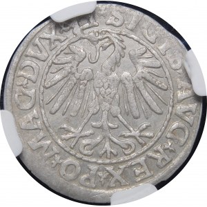 Sigismund II Augustus, Half-penny 1547, Vilnius - LI/LITVA
