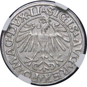 Sigismund II Augustus, Half-penny 1548, Vilnius - Roman I, LI/LITVA