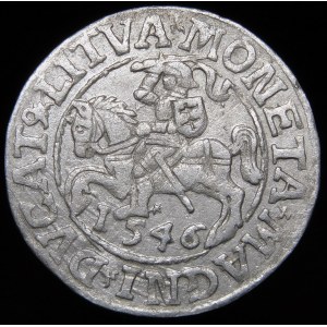 Sigismund II Augustus, Halbpfennig 1546, Vilnius - neuerer Adlertyp - LI/LITVA