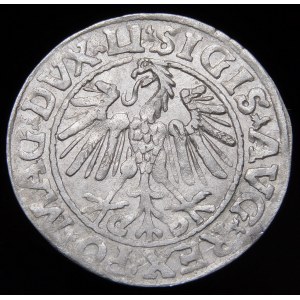 Sigismund II Augustus, Halbpfennig 1547, Wilna - LI/LITVA - schön