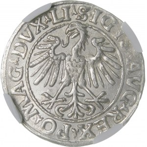 Zygmunt II August, Półgrosz 1548, Wilno - rzymska I, LI/LITVA - wyśmienity