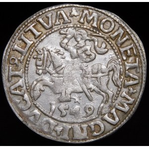 Zygmunt II August, Półgrosz 1549, Wilno - 10 Pogoń, LI/LITVA