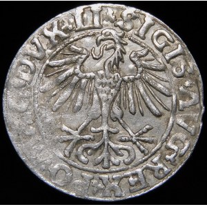 Sigismund II Augustus, Half-penny 1550, Vilnius - LI/LITVA