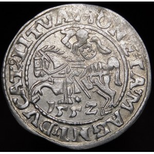 Sigismund II Augustus, halber Pfennig 1552, Vilnius - LI/LITVA - gestempelt MAG/NNI - sehr selten