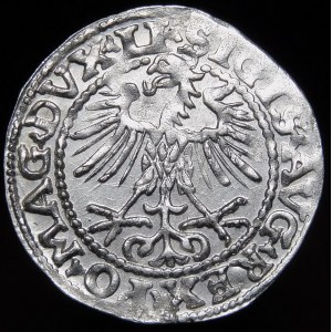 Zygmunt II August, Półgrosz 1553, Wilno - LI/LITVA - rzadki i piękny