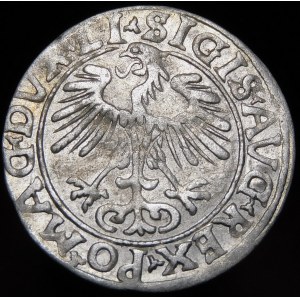 Sigismund II Augustus, Half-penny 1556, Vilnius - LI/LITV