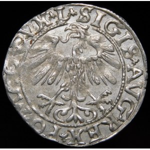 Sigismund II Augustus, Half-penny 1557, Vilnius - L/LITVA