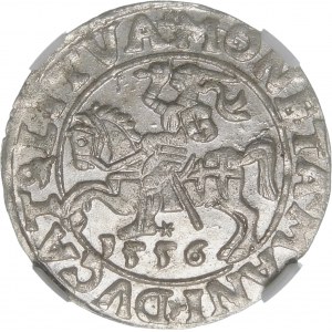 Sigismund II Augustus, Half-penny 1556, Vilnius - LI/LITVA - MANI error - very rare.
