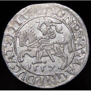 Sigismund II Augustus, Half-penny 1557, Vilnius - LI/LITVA