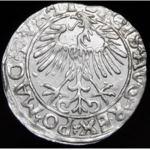 Sigismund II Augustus, Halbpfennig 1557, Vilnius - LI/LITVA - Variante - schön