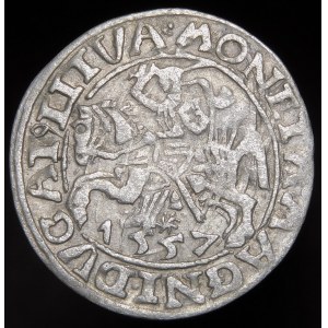 Sigismund II Augustus, Halbpfennig 1557, Wilna - dreifach - Behm - unbeschrieben