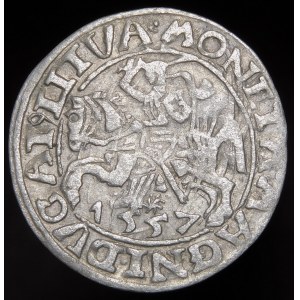 Sigismund II Augustus, Half-penny 1557, Vilnius - tri-leaves - Behm - undescribed