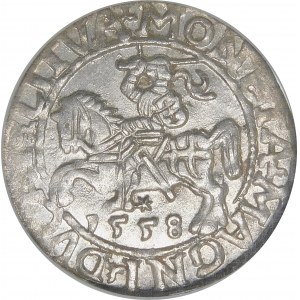 Sigismund II. Augustus, Halbergroschen 1558, Wilna - LI/LITVA