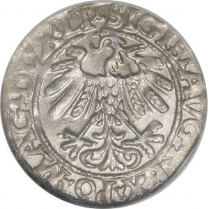 Sigismund II Augustus, Half-penny 1558, Vilnius - LI/LITVA