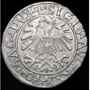 Sigismund II Augustus, Half-penny 1559, Vilnius - L/LITV