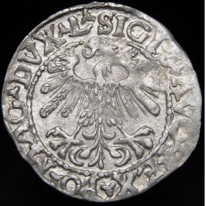 Sigismund II. Augustus, Halbergroschen 1559, Wilna - L/LITVA