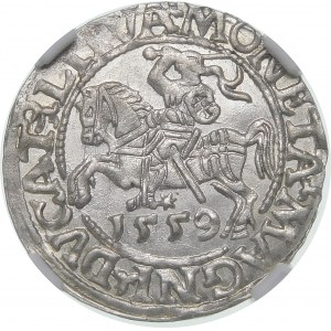Zygmunt II August, Półgrosz 1559, Wilno - L/LITVA - piękny