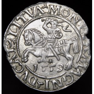 Sigismund II. Augustus, Halbergroschen 1559, Wilna - LI/LITVA