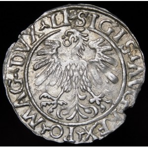 Sigismund II Augustus, Half-penny 1559, Vilnius - LI/LITVA