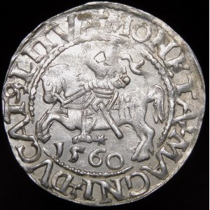 Sigismund II Augustus, Half-penny 1560, Vilnius - DVX L/LITVA - rare