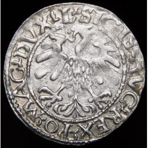 Sigismund II Augustus, Halbpfennig 1560, Wilna - DVX L/LITVA - selten