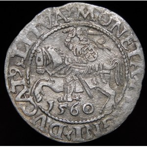 Sigismund II Augustus, Half-penny 1560, Vilnius - DVX L/LITVA - rare