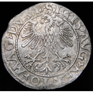 Zygmunt II August, Półgrosz 1560, Wilno - DVX L/LITVA - rzadki