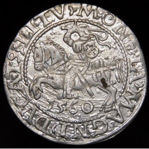 Sigismund II. Augustus, halber Pfennig 1560, Vilnius - DVX LI/LITV