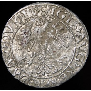 Sigismund II Augustus, Half-penny 1560, Vilnius - DVX LI/LITV