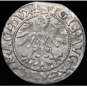 Sigismund II Augustus, Half-penny 1560, Vilnius - DVX L/LITV