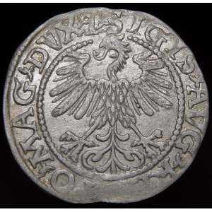 Sigismund II Augustus, Half-penny 1560, Vilnius - DVX L/LITV