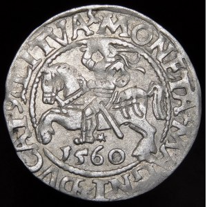 Sigismund II Augustus, Half-penny 1560, Vilnius - DVX L/LITVA