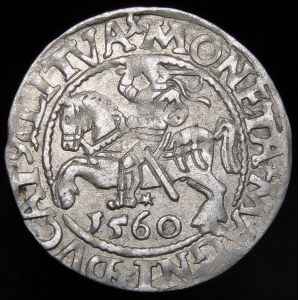 Sigismund II. Augustus, halber Pfennig 1560, Vilnius - DVX L/LITVA